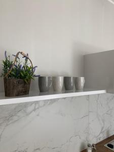 a shelf with five plants on it in a kitchen at Apartament Bursztynowy in Kołobrzeg