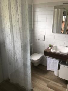 La salle de bains est pourvue de toilettes et d'un rideau de douche. dans l'établissement Al Grottino, à Gambarogno