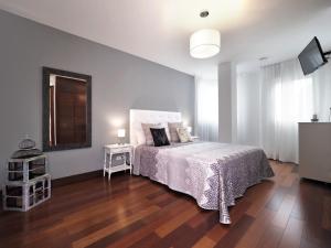 ボルターニャにあるApartamento Monte Perdidoのウッドフロアのベッドルーム1室(ベッド1台、テレビ付)