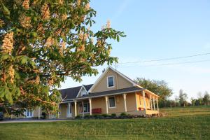 une maison dans un champ avec un arbre dans l'établissement Gîte Au Blanc Marronnier, à Racine