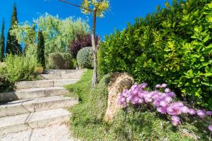 A garden outside Son Ferragut