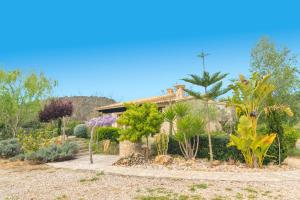 A garden outside Son Ferragut