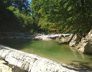 Příroda nedaleko apartmánu