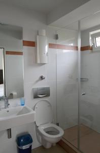 a bathroom with a toilet and a sink and a shower at Konoba in Meckenheim