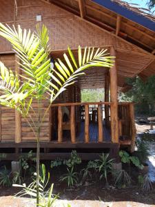 a wooden house with a palm tree in front of it at Travis Post Homestay in Siquijor