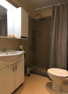 a bathroom with a shower and a toilet and a sink at Ariston Hotel in Athens