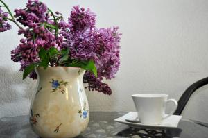 Fotografie z fotogalerie ubytování Hotel Marsel v destinaci Tbilisi City