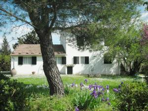 Zahrada ubytování Vignagrande Agriturismo