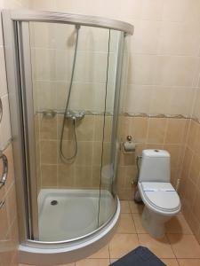 a bathroom with a shower and a toilet at Готель Леон in Zwiahl