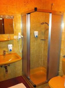 a bathroom with a shower and a sink at Maurer Gasthof-Vinothek in Gleisdorf