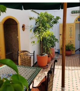 Κήπος έξω από το Riad Dar Zouhour