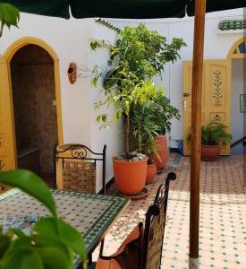 Κήπος έξω από το Riad Dar Zouhour