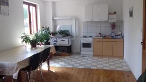 Köök või kööginurk majutusasutuses Kuća za odmor Dolovi