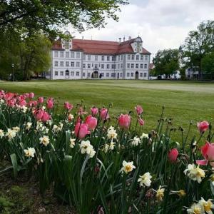Zahrada ubytování Ferienwohnung Allgäu
