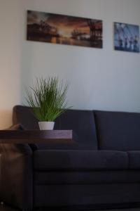 Posezení v ubytování Schlüter Hotel & Restaurant