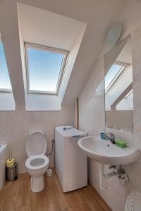 a bathroom with a toilet and a sink and a window at Apartmán GARDEN in Lednice