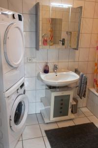 a bathroom with a washing machine and a sink at Wonderful Apartment With Great Location in Kaiserslautern