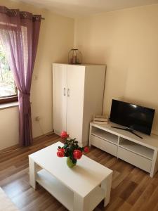 una sala de estar con TV y una mesa con flores. en Studio Airport Dubrovnik en Čilipi