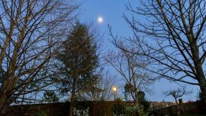 Un árbol de Navidad con la luna en el cielo en Casa do Cruceiro, en As Galanas