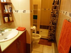 a bathroom with a sink and a toilet and a shower at Lodge Takini 4 in Kourou