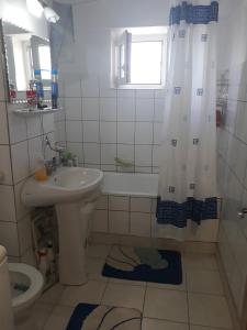 a bathroom with a sink and a toilet and a shower at GARSON AUROTI in Deva