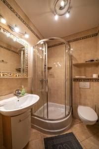 扎科帕內的住宿－Pod Reglami，带淋浴、盥洗盆和卫生间的浴室