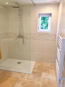 a bathroom with a shower with a glass door at Gite aux Lauriers d'Adhémar in La Garde-Adhémar