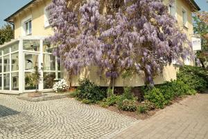 a tree with purple flowers on the side of a building at Pension Franzbäcker in Warburg