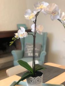 une plante d'orchidées blanches dans un pot sur une table dans l'établissement IL CAPRICCIO DI SILVIA, à Sirmione