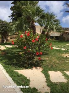 Um jardim em Villa Oblò