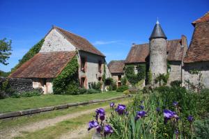 Brigueuil-le-Chantre的住宿－Chateau Mareuil，一座古房子,前面有紫色的鲜花