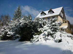 ein Haus mit schneebedeckten Bäumen davor in der Unterkunft Pension Haus Martha in Bad Grund