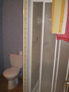 W łazience znajduje się prysznic, toaleta i umywalka. w obiekcie L'Auberge Fleurie w mieście Le Nayrac