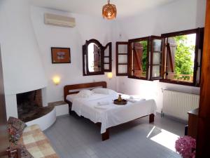 a bedroom with a bed and a fireplace at Hotel Vrionis in Agios Dimitrios
