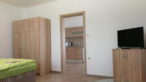 TV a/nebo společenská místnost v ubytování Apartmánové ubytovanie VKF