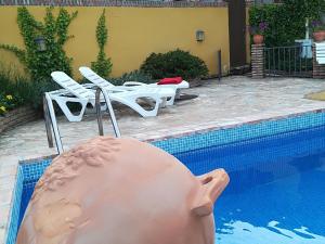 un cerdo rosado grande en una piscina en Finca El Destino en El Berrueco