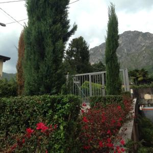 a gate in a garden with flowers and trees at La casa degli ulivi in Lierna
