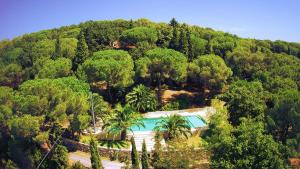 una vista aérea de una piscina en un bosque en Agriturismo Poggio al Pino, en Montelupo Fiorentino