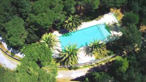 una vista aérea de una piscina con palmeras en Agriturismo Poggio al Pino, en Montelupo Fiorentino