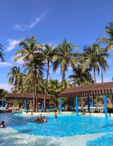 a group of people in a swimming pool with palm trees at Casas Da Vó Maria in Olímpia