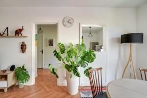 ein Wohnzimmer mit einem Tisch und einer Pflanze in der Unterkunft Votre Escale - Le Globe Trotteur in Niort