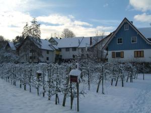 Hotel Faxe Schwarzwälder Hof talvel