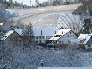 Hotel Faxe Schwarzwälder Hof talvel +20 fotot
