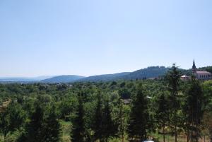 Příroda nedaleko bed and breakfast