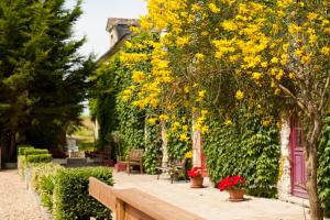 un arbre avec des fleurs jaunes dans un jardin dans l'établissement Moulin de Gaubourg, à Saint-Mélaine-sur-Aubance