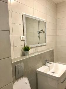 a bathroom with a sink and a toilet and a mirror at Ocean Apartment in Zagreb