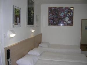 Postel nebo postele na pokoji v ubytování Hotel Darcet
