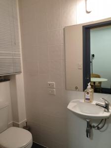 a bathroom with a sink and a toilet and a mirror at Archies Bunker Affordable Accommodation in Napier