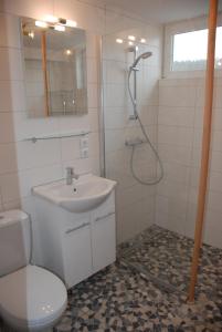 a bathroom with a shower and a toilet and a sink at FeWo Ulamec Appartment VI in Velden am Wörthersee