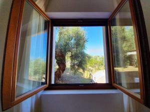 Foto Viestes asuva majutusasutuse Hotel Delle More galeriist